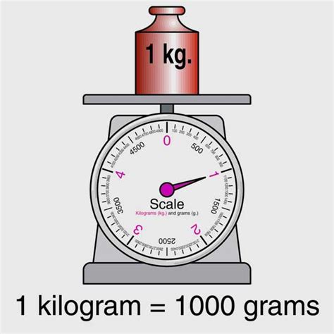 Kilo definition - The meaning of KILOJOULE is 1000 joules; also : a unit in nutrition equivalent to 0.239 calorie.